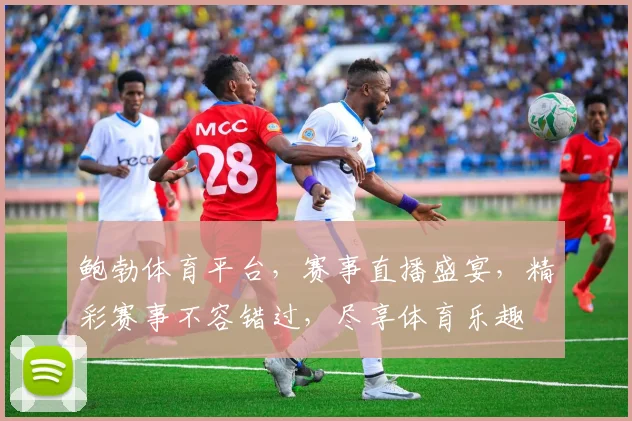 鲍勃体育平台，赛事直播盛宴，精彩赛事不容错过，尽享体育乐趣